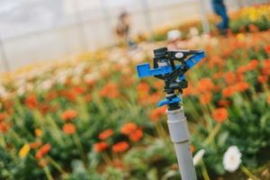 Irrigation and Sprinkler System Installation in Jonesboro - 870-729-8043